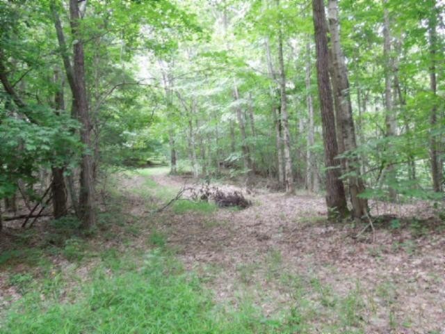 5 19 Star Point Road Celina, TN 38551 - Photo 1 of 29 Gallery Image 1