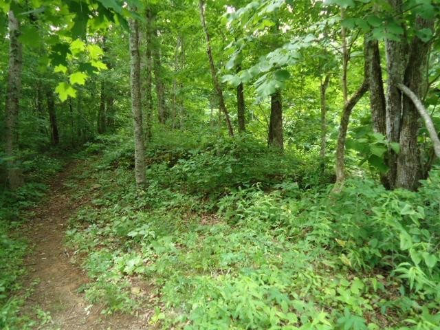 5 19 Star Point Road Celina, TN 38551 - Photo 2 of 29 Gallery Image 2