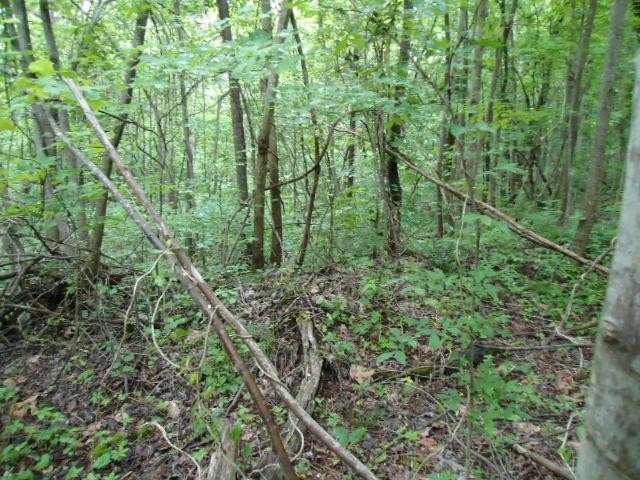 5 19 Star Point Road Celina, TN 38551 - Photo 11 of 29 Gallery Image 11
