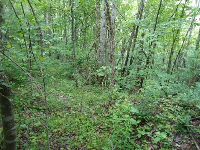 5 19 Star Point Road Celina, TN 38551 - Photo 12 of 29 Gallery Image 12