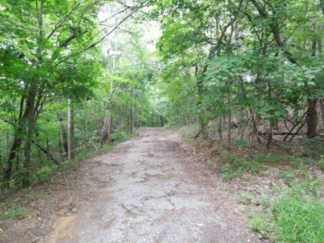5 19 Star Point Road Celina, TN 38551 - Photo 13 of 29 Gallery Image 13