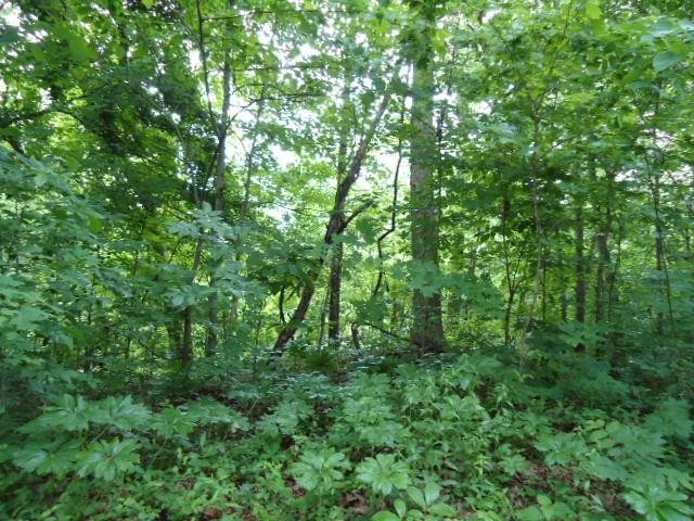 5 19 Star Point Road Celina, TN 38551 - Photo 20 of 29 Gallery Image 20