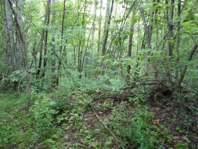 5 19 Star Point Road Celina, TN 38551 - Photo 3 of 29 Gallery Image 3