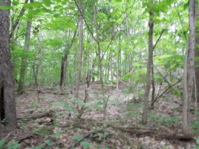 5 19 Star Point Road Celina, TN 38551 - Photo 22 of 29 Gallery Image 22