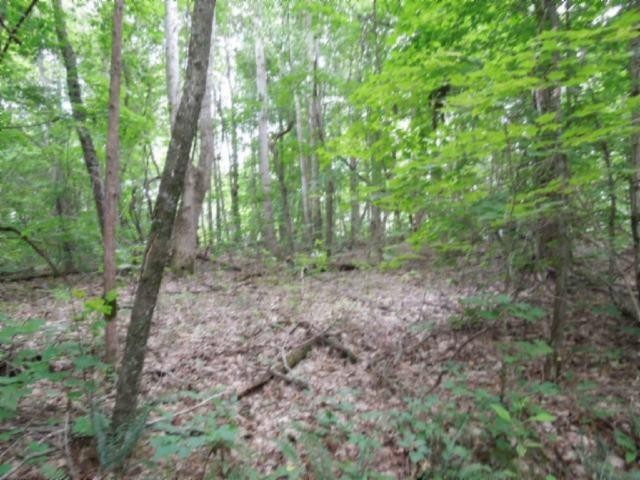5 19 Star Point Road Celina, TN 38551 - Photo 23 of 29 Gallery Image 23