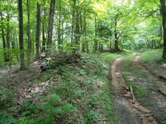 5 19 Star Point Road Celina, TN 38551 - Photo 4 of 29 Gallery Image 4