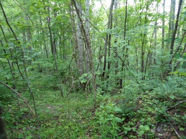 5 19 Star Point Road Celina, TN 38551 - Photo 6 of 29 Gallery Image 6