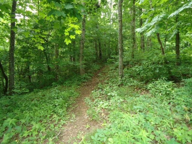 5 19 Star Point Road Celina, TN 38551 - Photo 8 of 29 Gallery Image 8