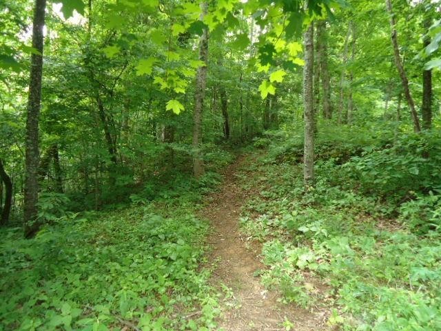 5 19 Star Point Road Celina, TN 38551 - Photo 10 of 29 Gallery Image 10