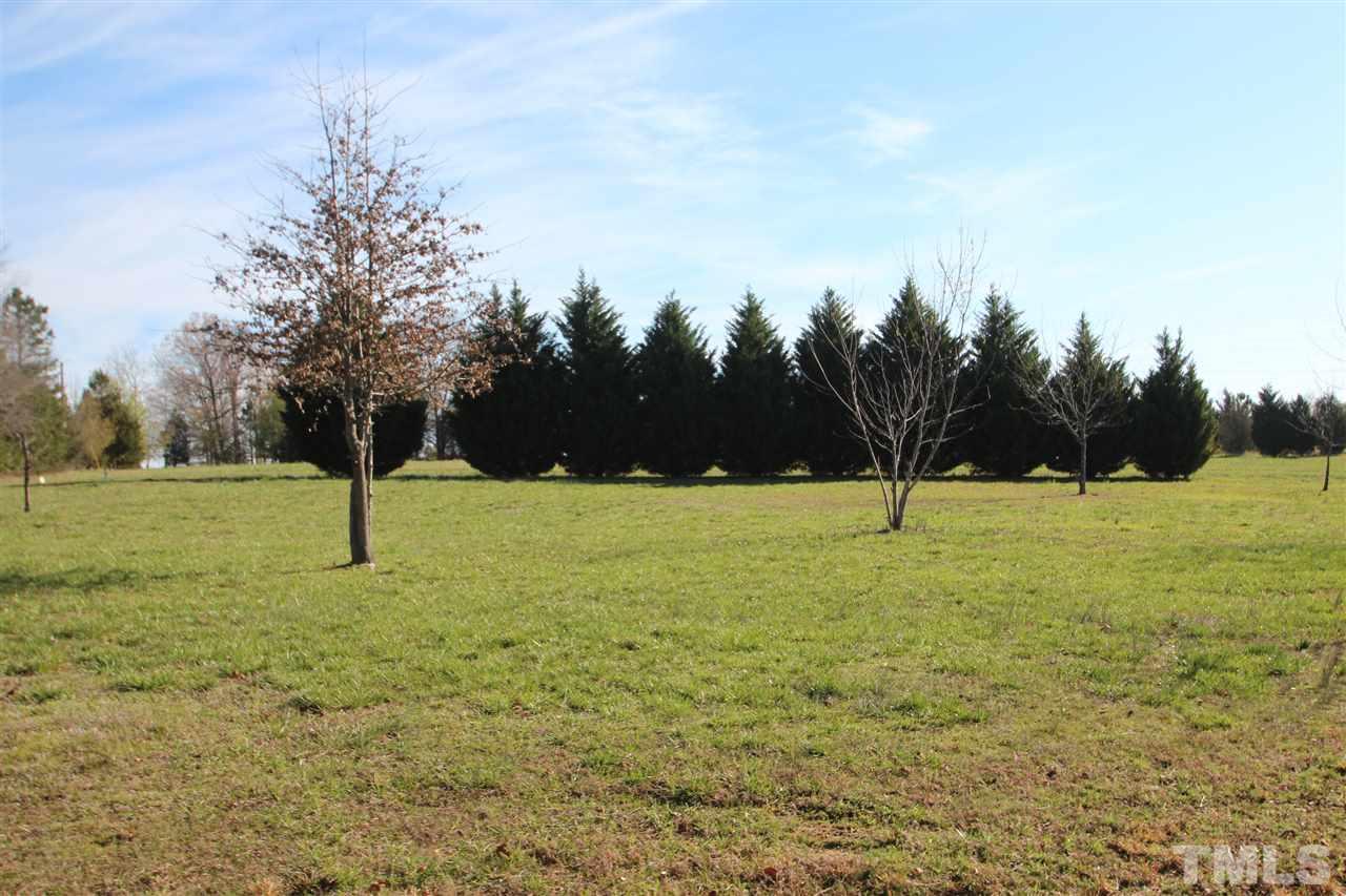 1336 Pixley Pritchard Road Timberlake, NC 27583 - Photo 4 of 4 a view of yard with tree