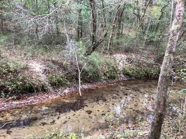 17470 Jimmy Smith Road Andalusia, AL 36421 - Photo 7 of 12 Gallery Image 7