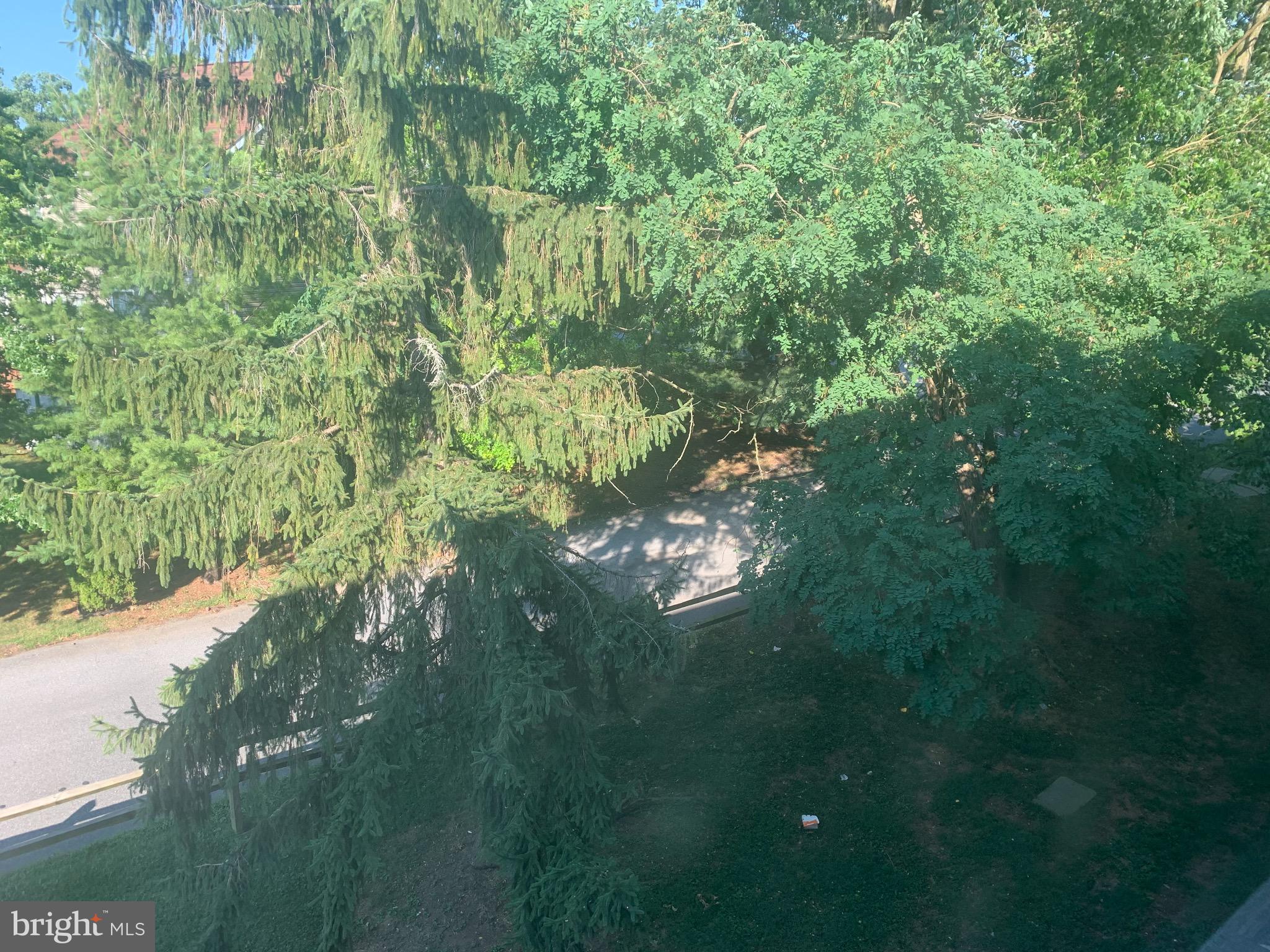 3926 Rolling Rd., Unit 11D Baltimore, MD 21208 - Photo 21 of 22 View of mature trees from bedroom window