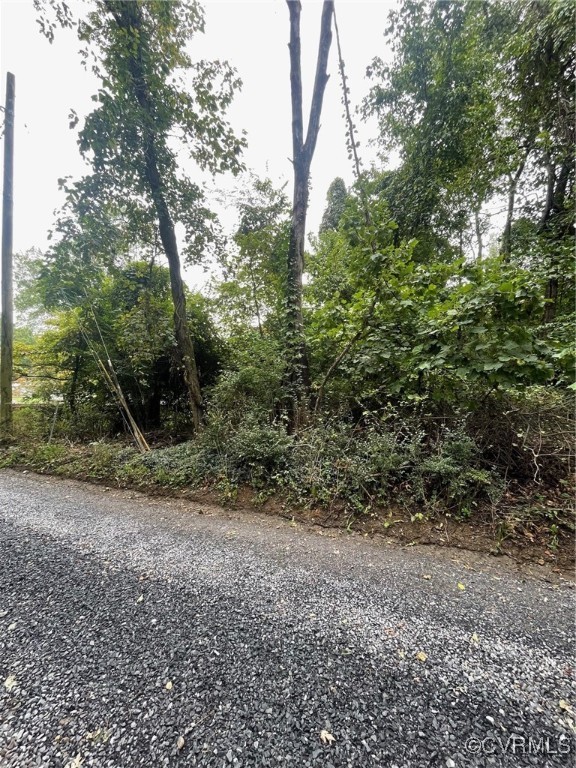 0 Corner Of Brookland Road Front Royal, VA 22630 - Photo 5 of 7 View of road