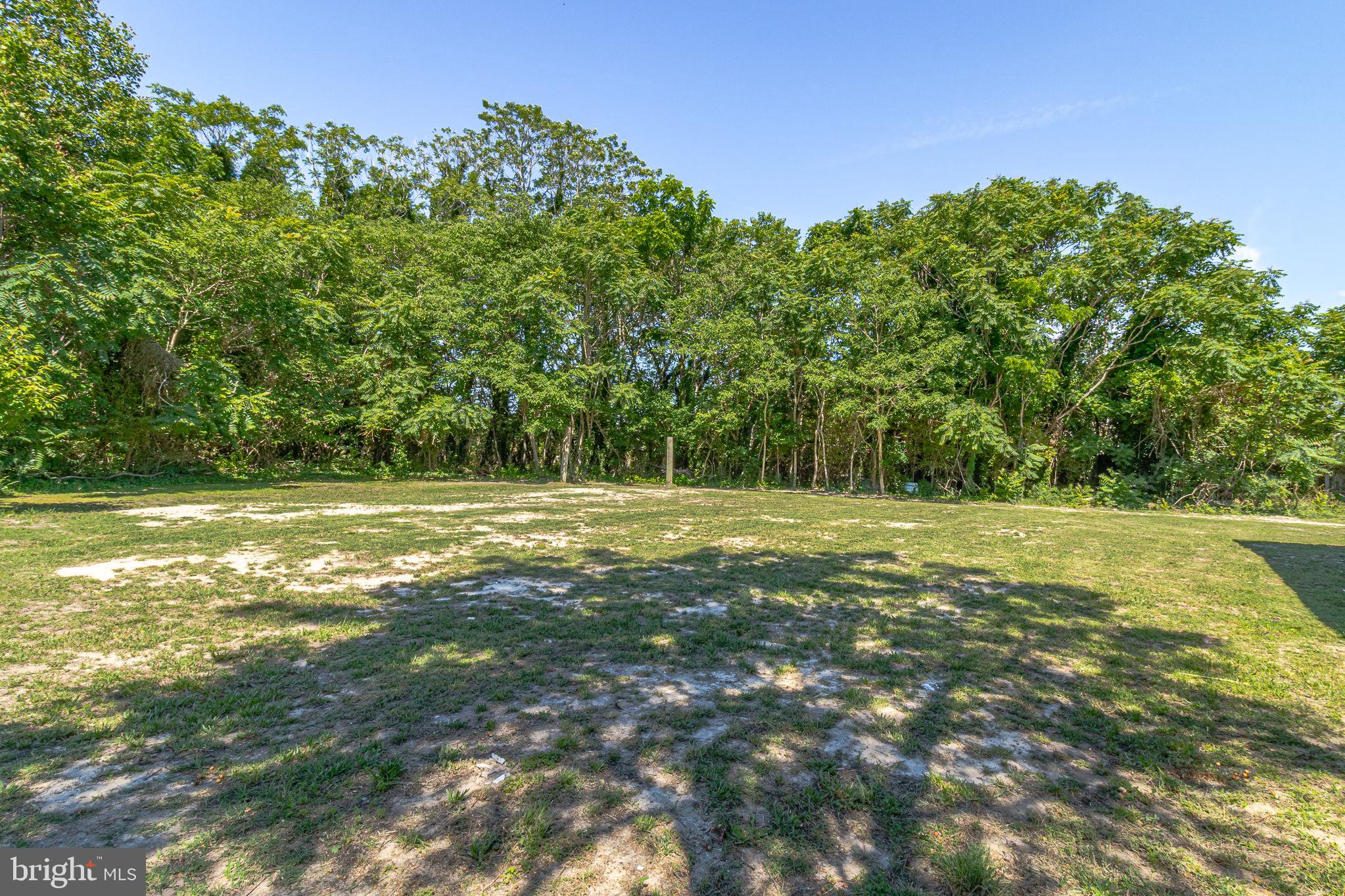 9832 River Road Lancaster, VA 22503 - Photo 59 of 68 Spacious lot embraced by nature.