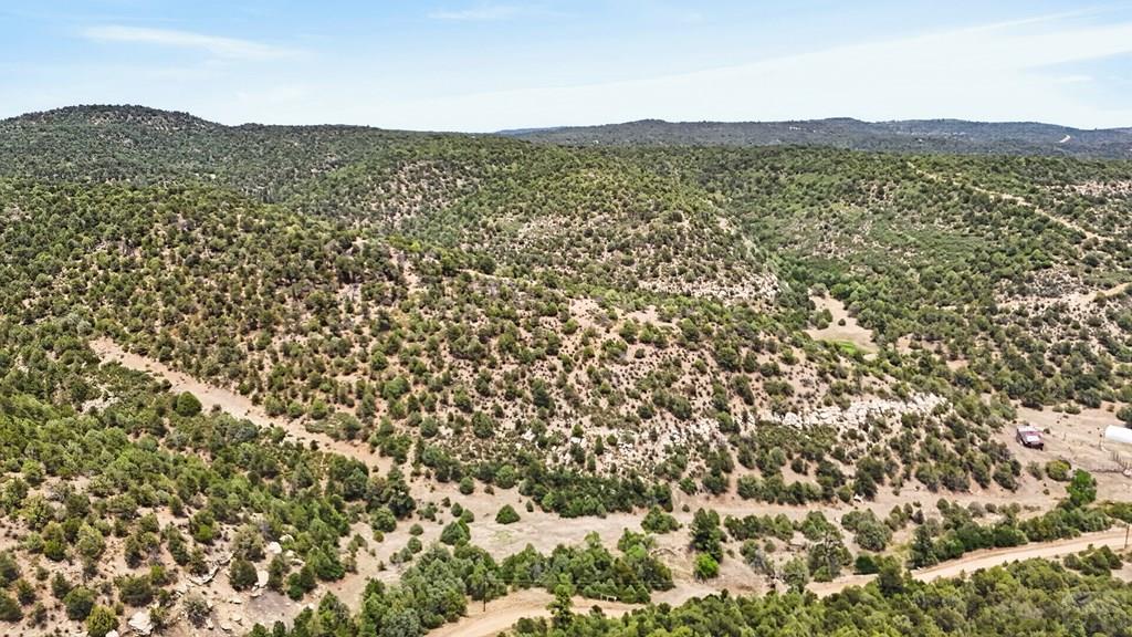17001 Peacock Road Trinidad, CO 81082 - Photo 30 of 62