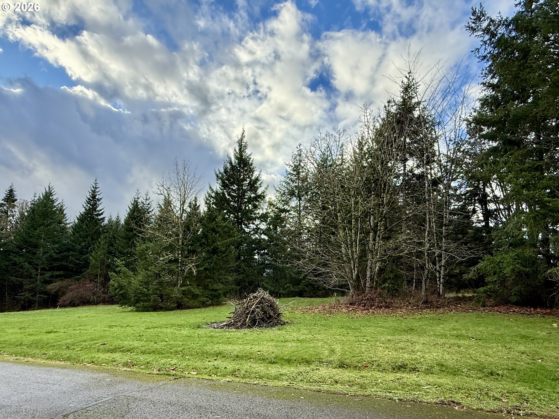 114 Skyview Road Woodland, WA 98674 - Photo 4 of 7 Acreage
