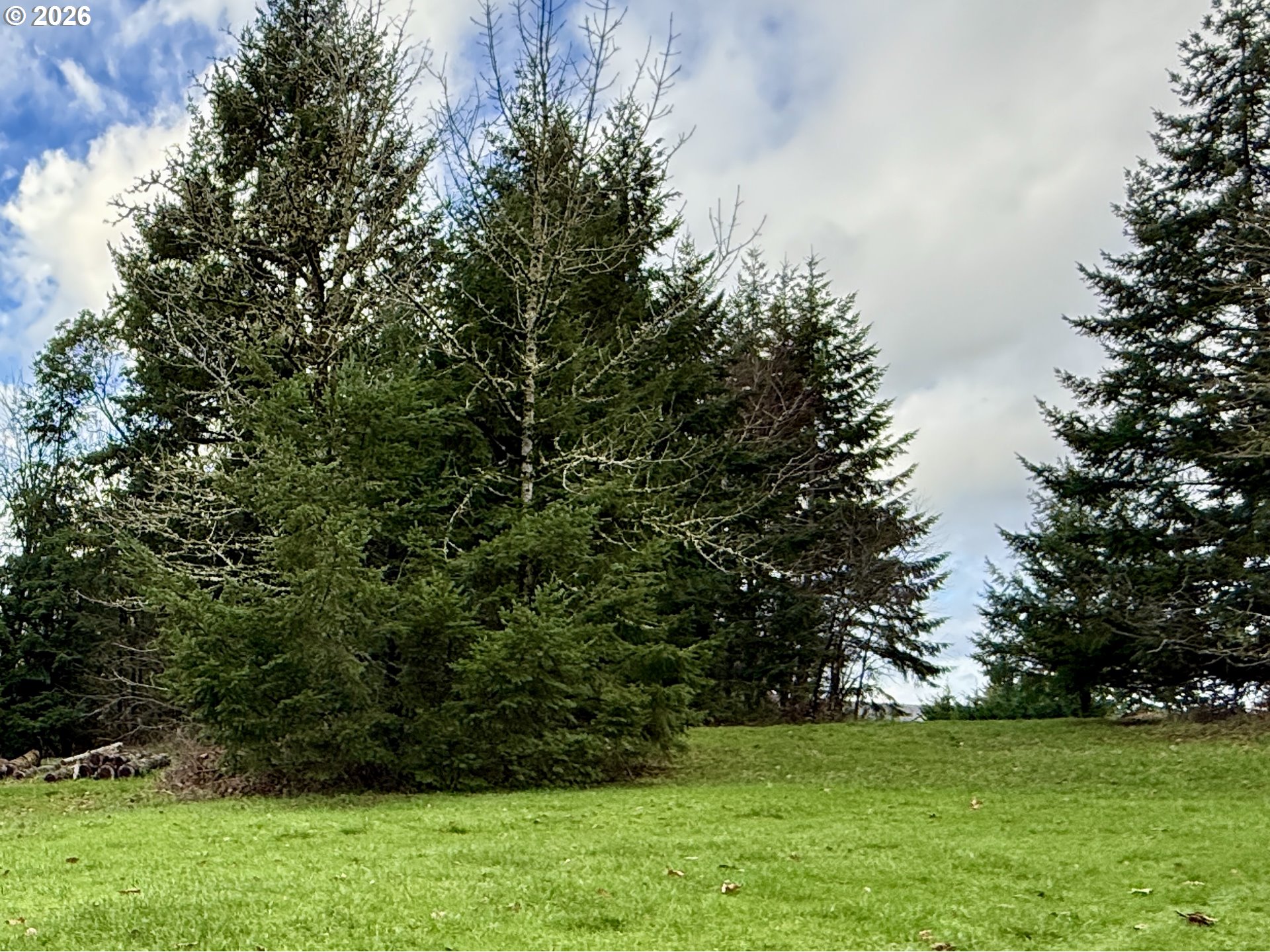 114 Skyview Road Woodland, WA 98674 - Photo 5 of 7 Acreage