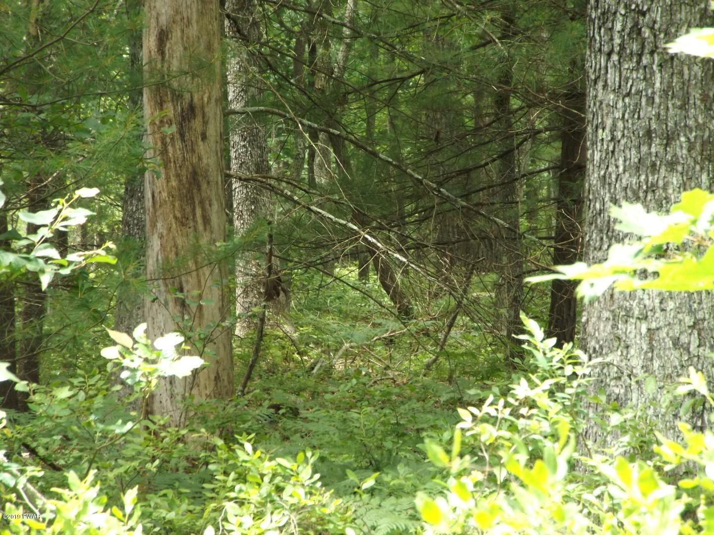 Lot 8 Engvaldsen Road Hawley, PA 18428 - Photo 7 of 8
