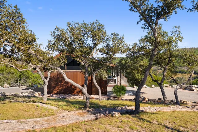 a view of a park with large trees