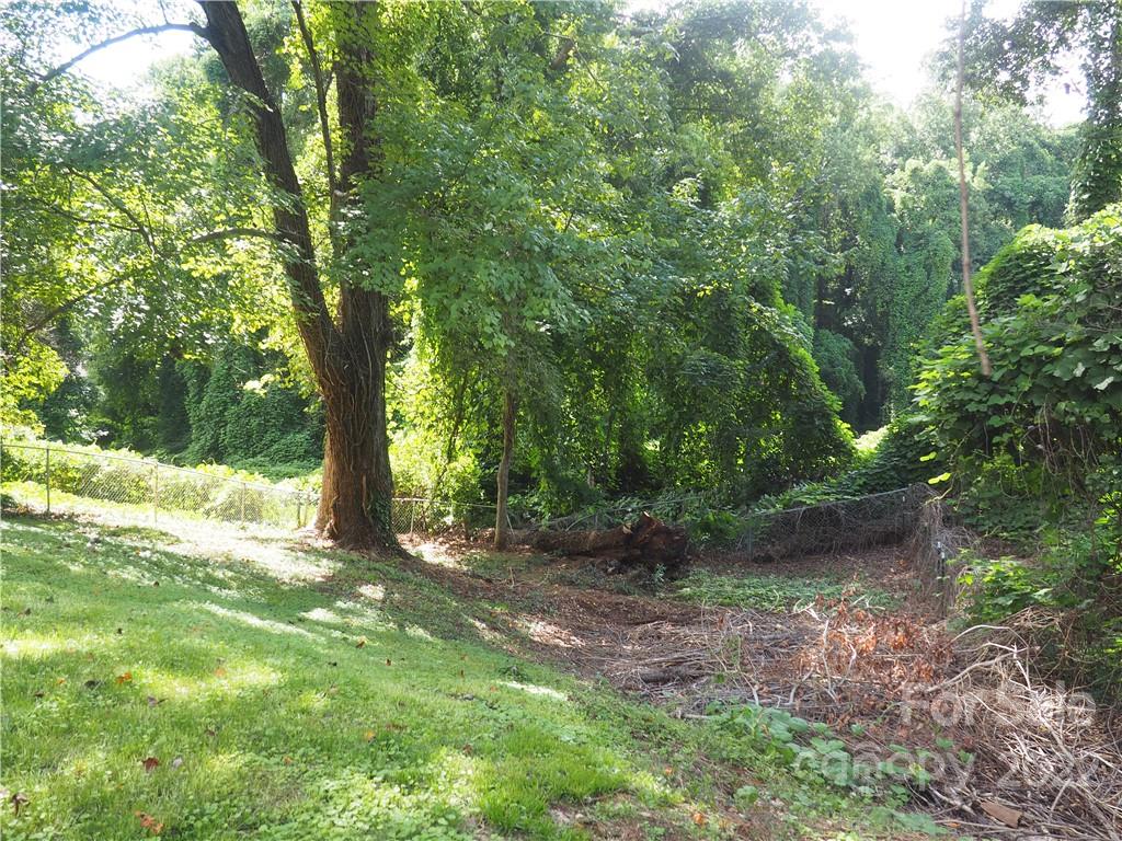 439 North Main Street Rutherfordton, NC 28139 - Photo 27 of 33 a backyard of a house with lots of green space