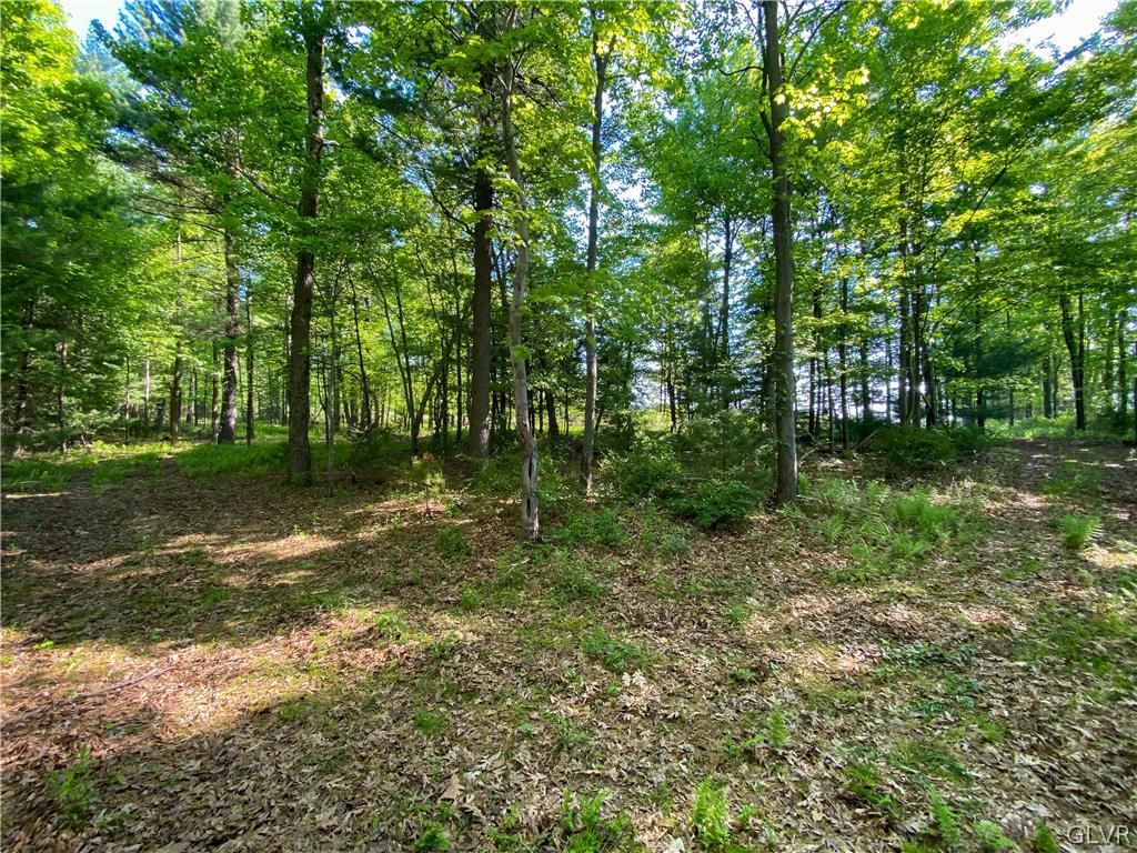 Hill Road, Unit 67 Palmerton, PA 18071 - Photo 13 of 19 a view of outdoor space and yard