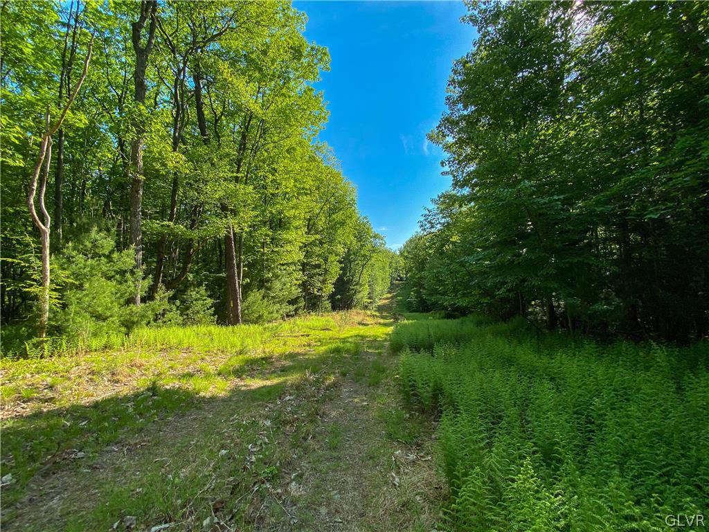 Hill Road, Unit 67 Palmerton, PA 18071 - Photo 14 of 19 a backyard of a house with a yard