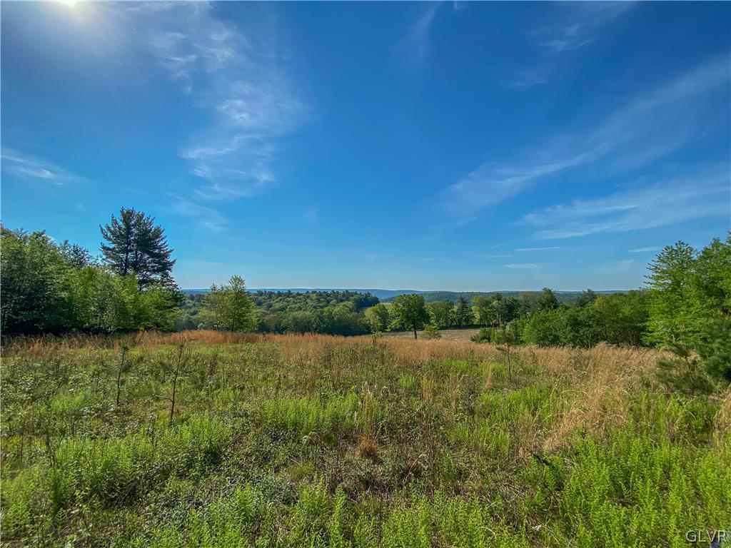 Hill Road, Unit 67 Palmerton, PA 18071 - Photo 15 of 19 a view of lake with green space