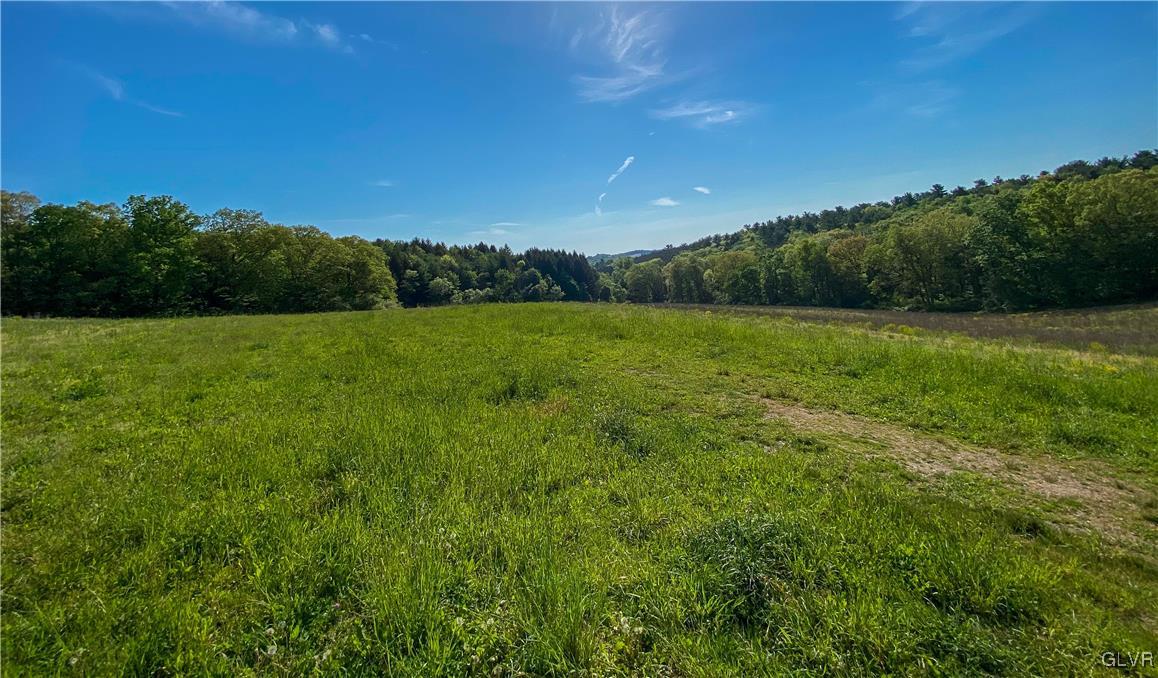 Hill Road, Unit 67 Palmerton, PA 18071 - Photo 16 of 19 a view of field with tall trees