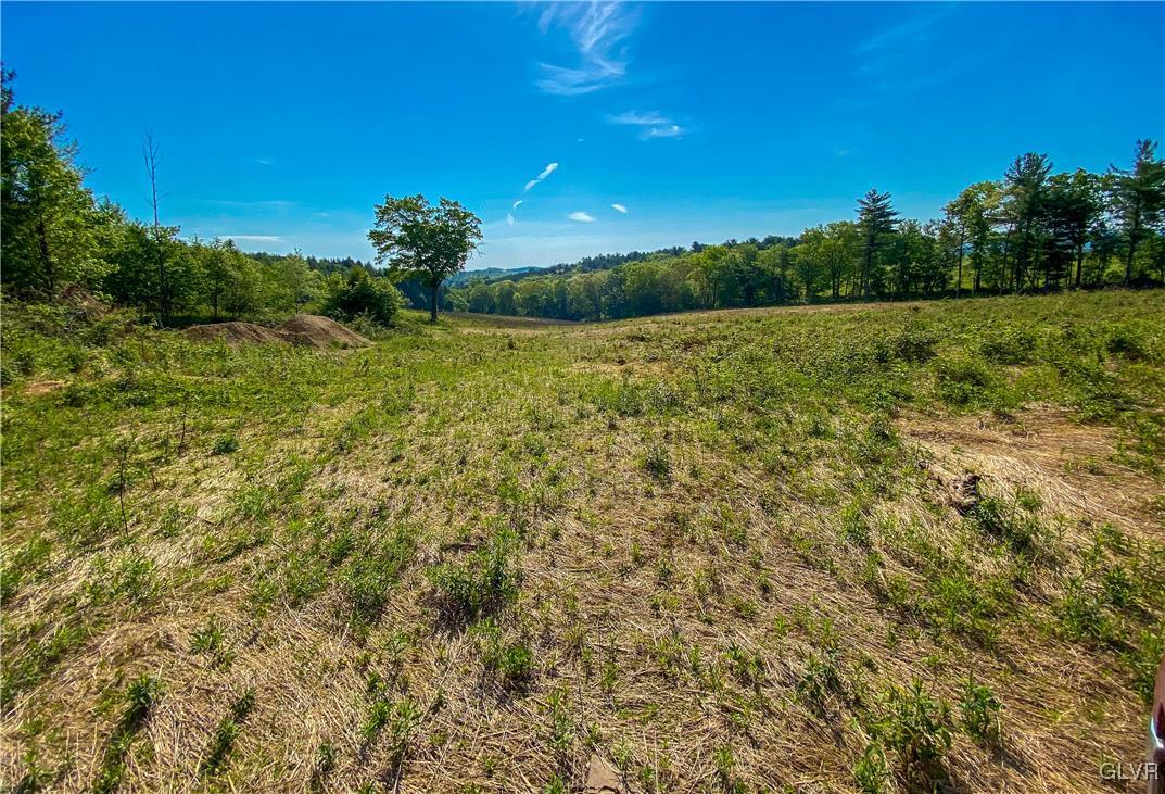 Hill Road, Unit 67 Palmerton, PA 18071 - Photo 17 of 19 a view of yard with green space