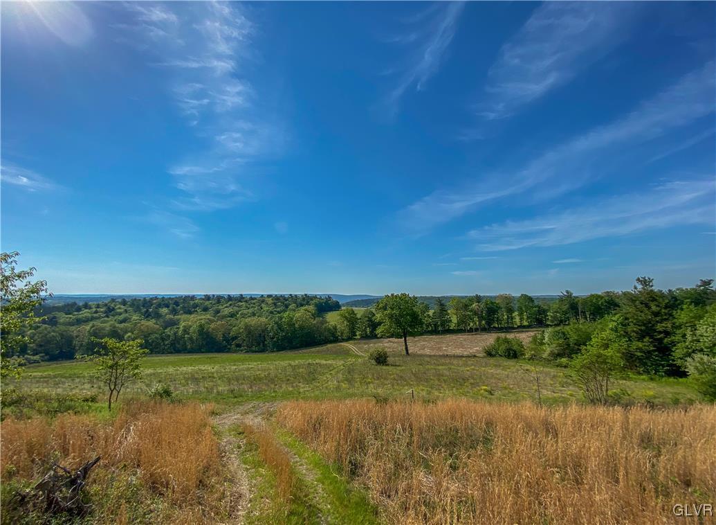 Hill Road, Unit 67 Palmerton, PA 18071 - Photo 3 of 19 a view of grassy field with trees