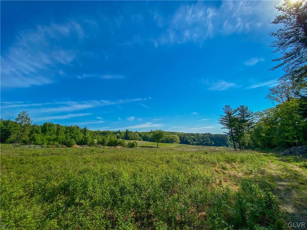 Hill Road, Unit 67 Palmerton, PA 18071 - Photo 5 of 19 a view of an outdoor space and a yard