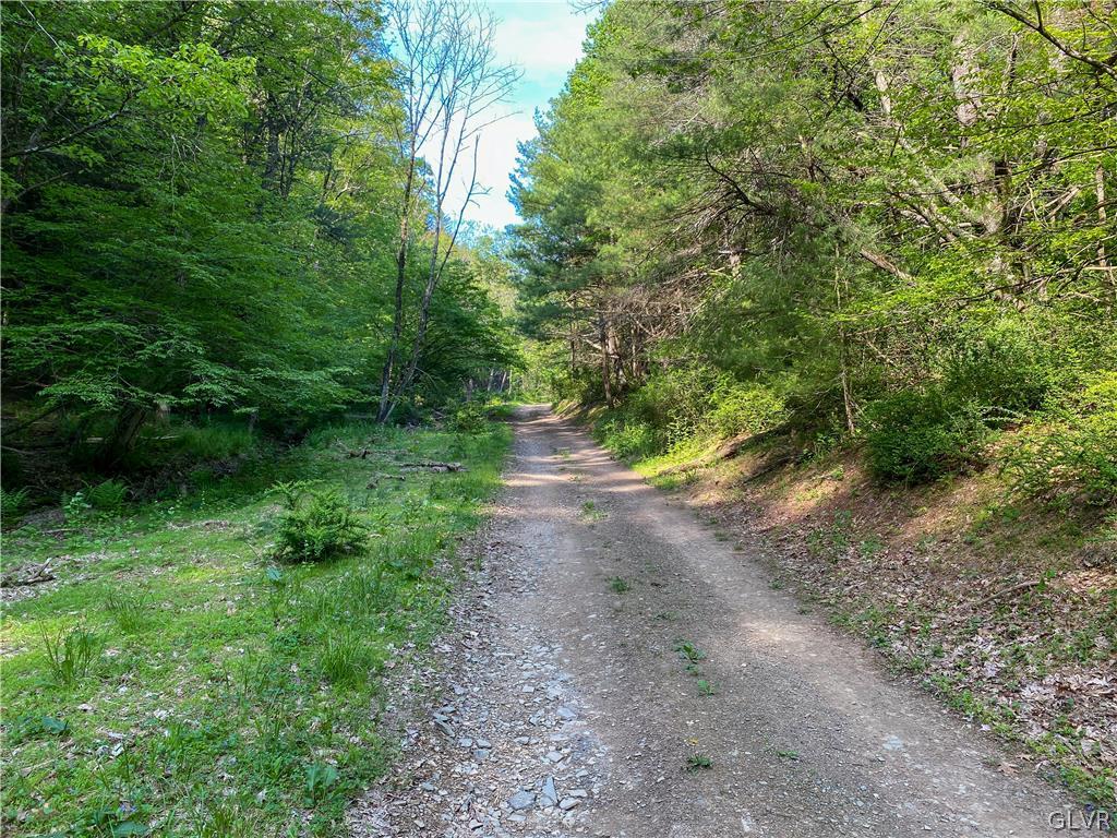 Hill Road, Unit 67 Palmerton, PA 18071 - Photo 9 of 19 a view of a dirt road with trees in the background