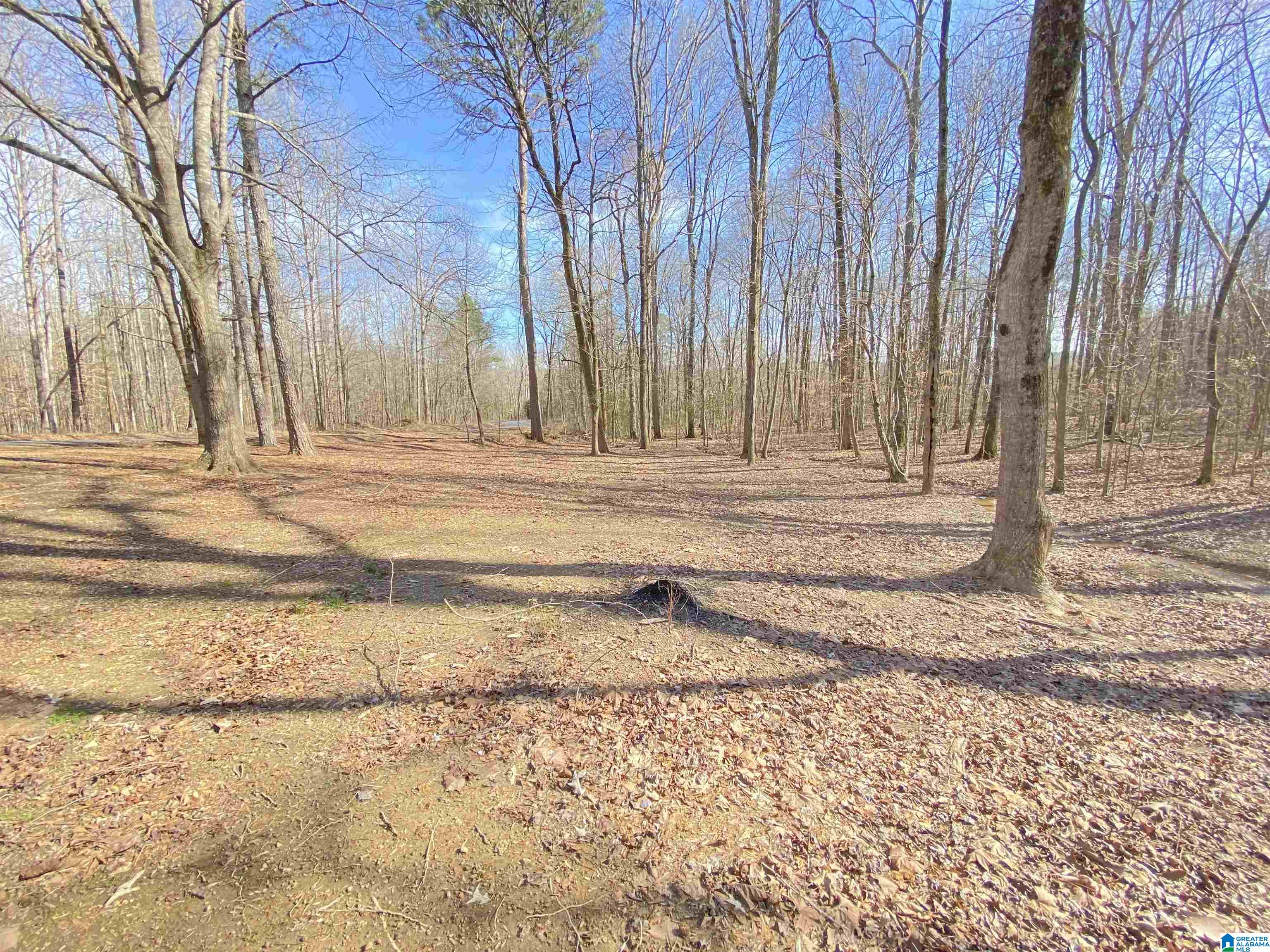 62 Curt Jarret Road Ashville, AL 35953 - Photo 25 of 77
