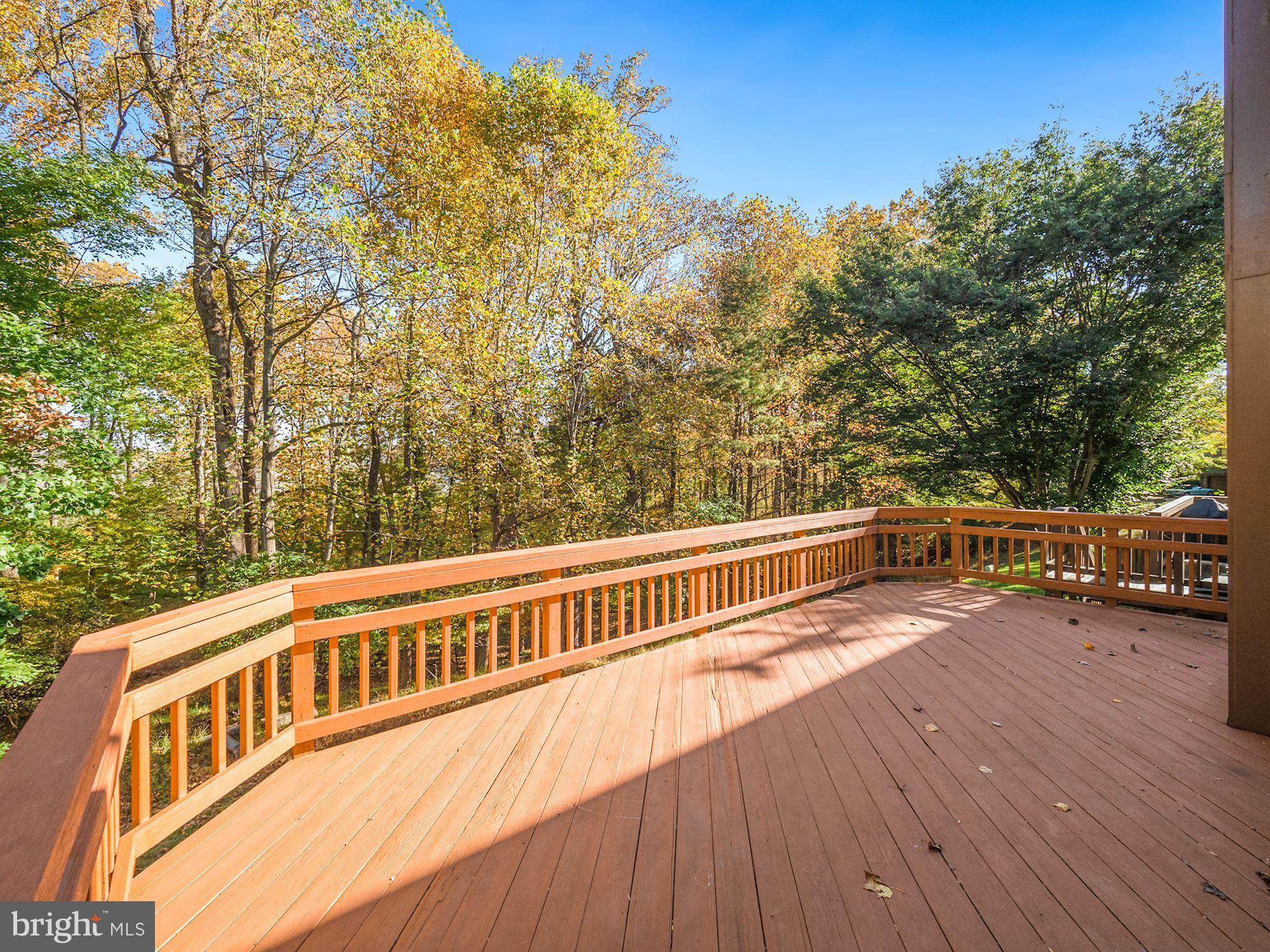 1613 Hugo Circle Silver Spring, MD 20906 - Photo 24 of 33