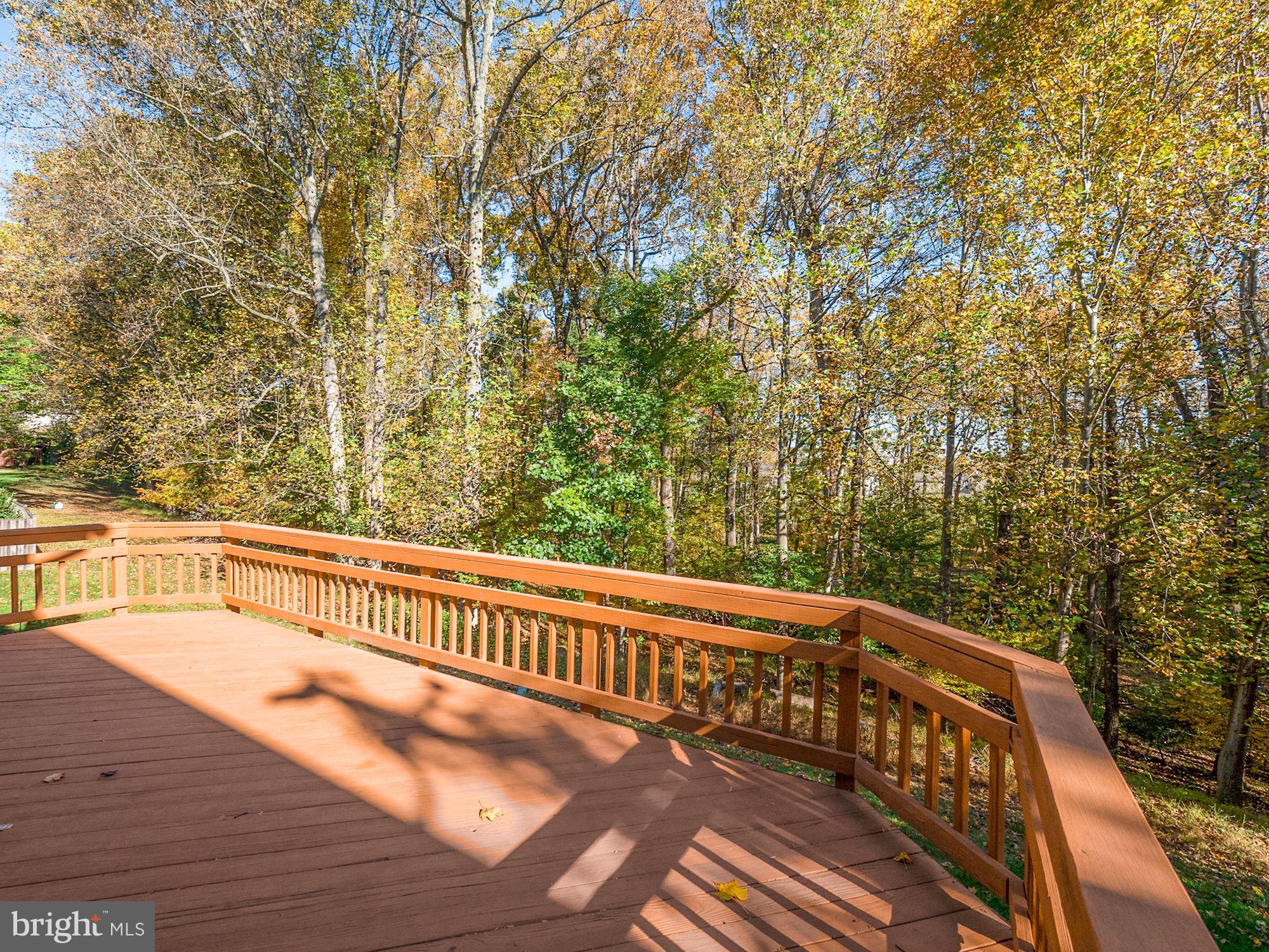 1613 Hugo Circle Silver Spring, MD 20906 - Photo 25 of 33