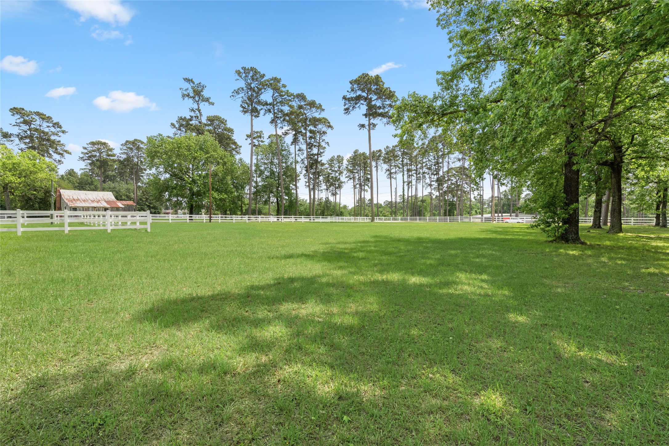 15126 Walden Road Montgomery, TX 77356 - Photo 50 of 50 Charming white picket fence opening to a sunlit field and stately trees- picture perfect country living.