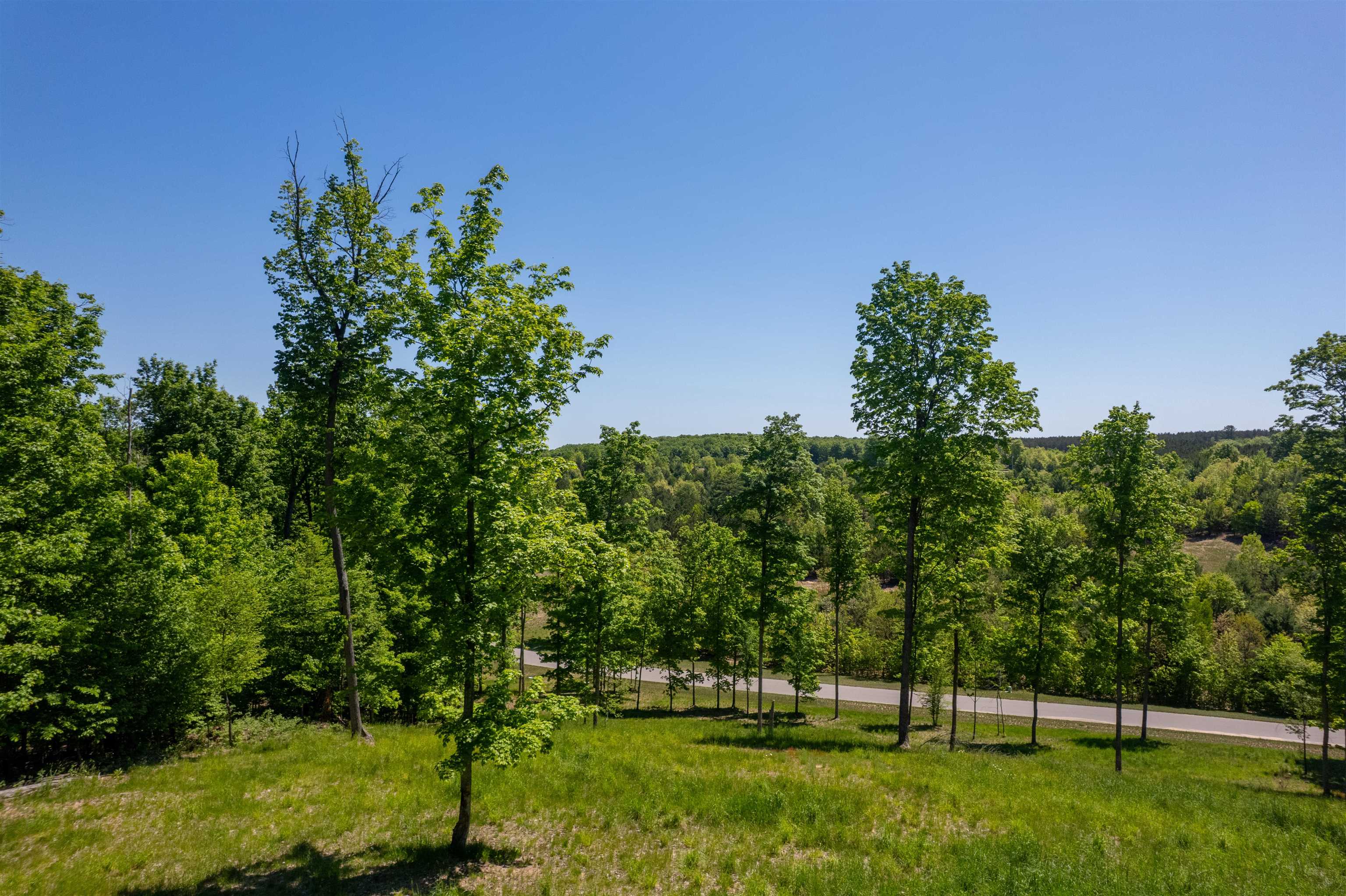 5844 Elkhorn Road, Unit LOT: 73 Kingsley, MI 49649 - Photo 6 of 12
