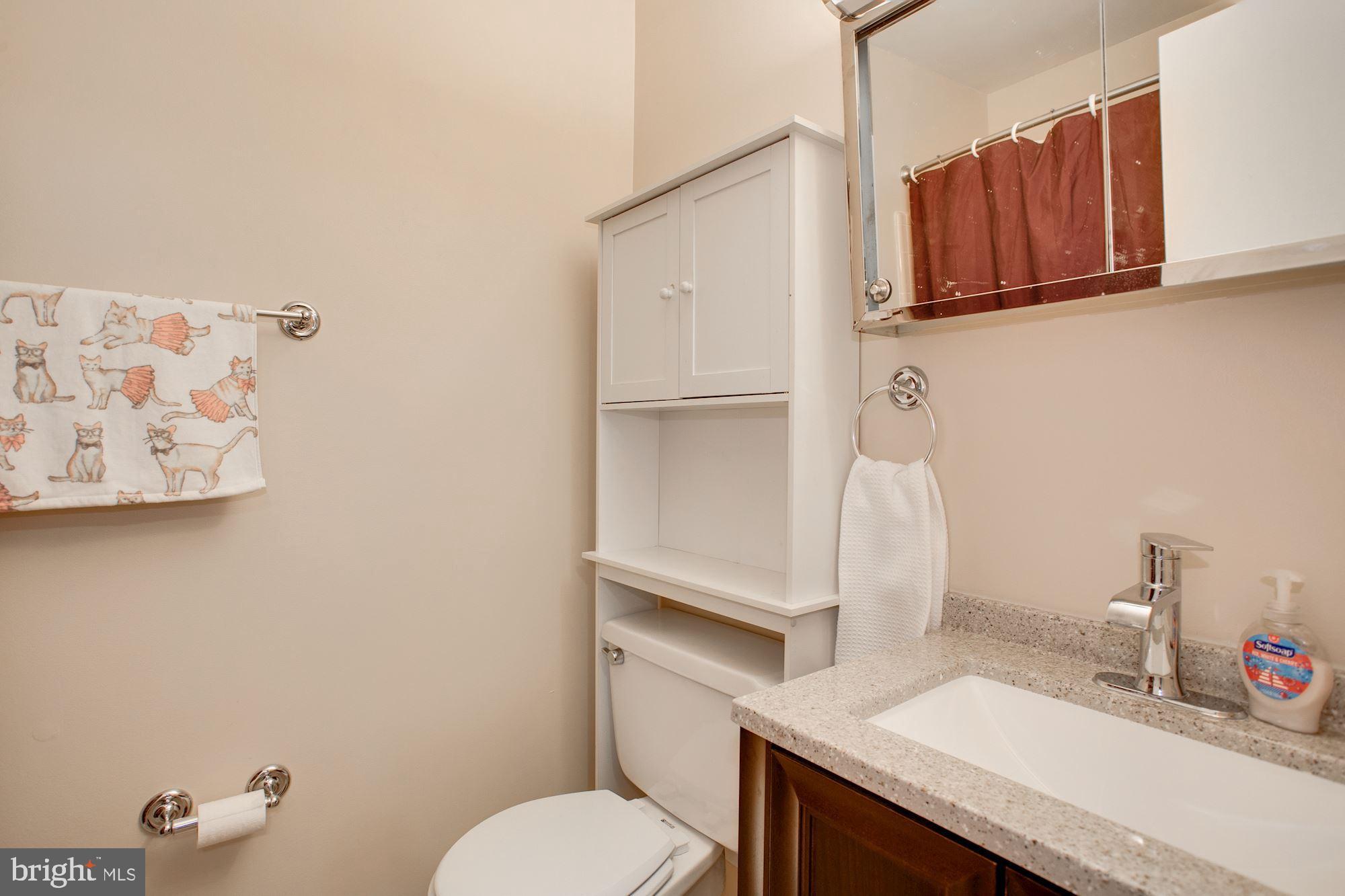 5572 Kendrick Lane Burke, VA 22015 - Photo 38 of 57 Hall Bathroom