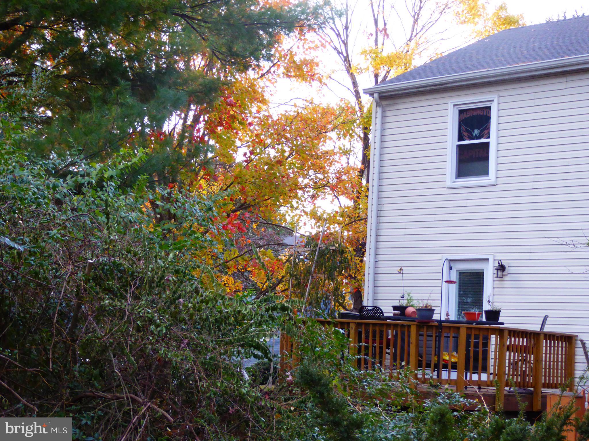 5572 Kendrick Lane Burke, VA 22015 - Photo 53 of 57 Deck on End unit