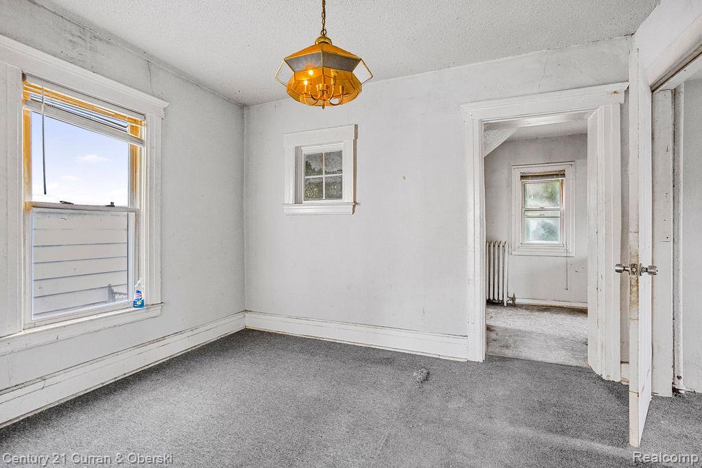 10 Perrin Street River Rouge, MI 48218 - Photo 7 of 26