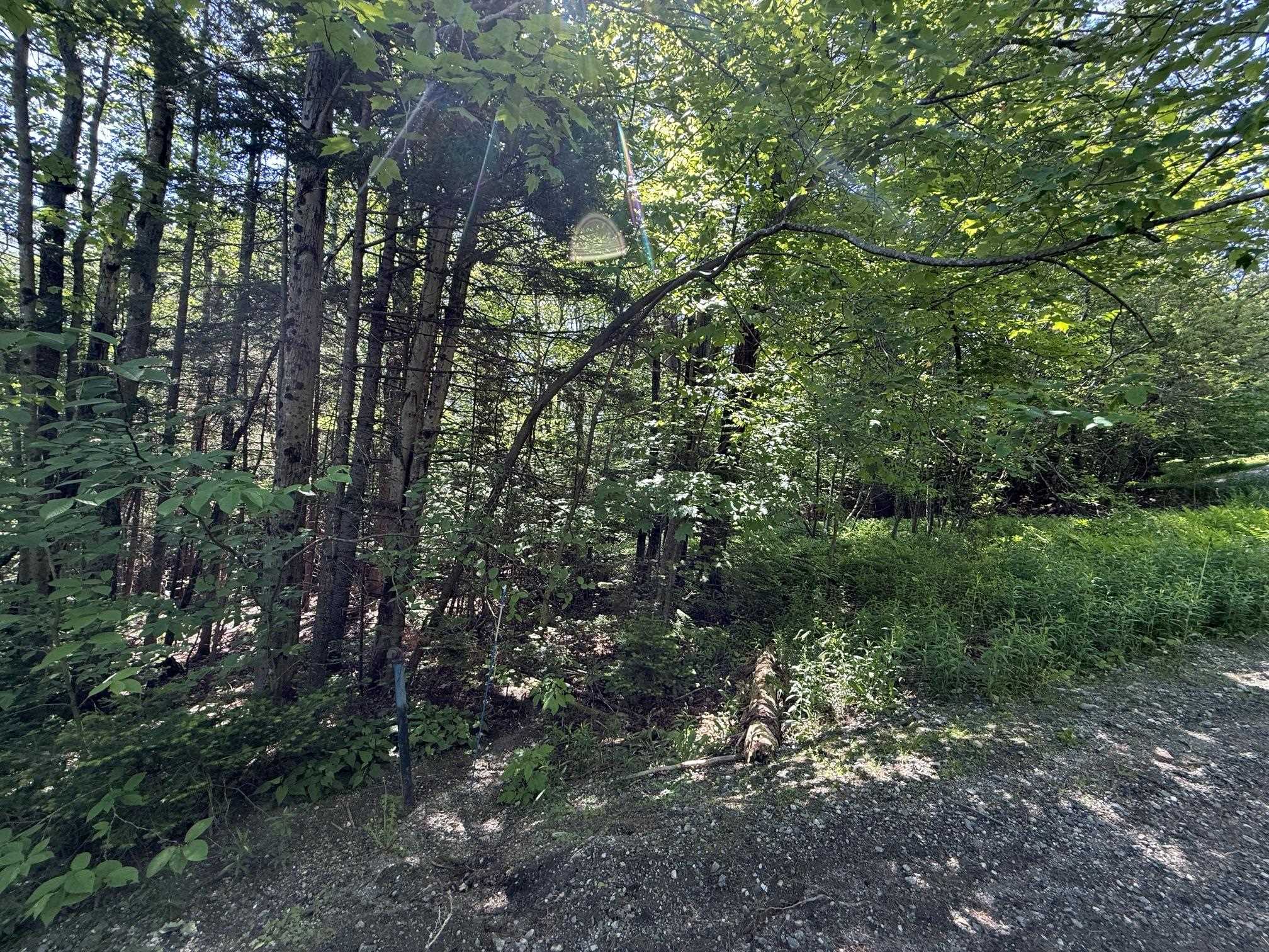 19 Stone Ridge Loop West Dover, VT 05356 - Photo 5 of 27