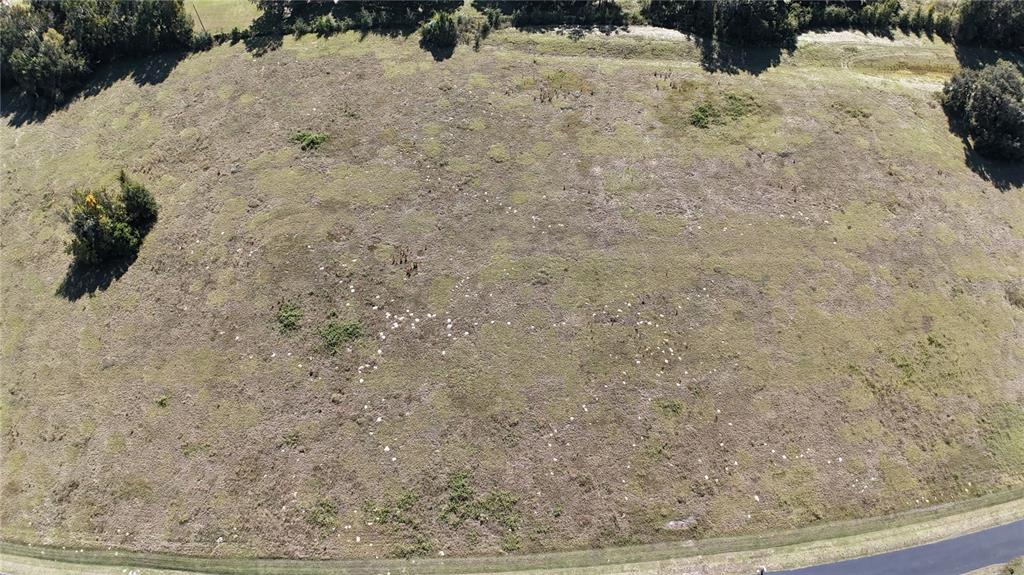 Northwest 54th Loop Ocala, FL 34482 - Photo 3 of 15 a view of snow on the road