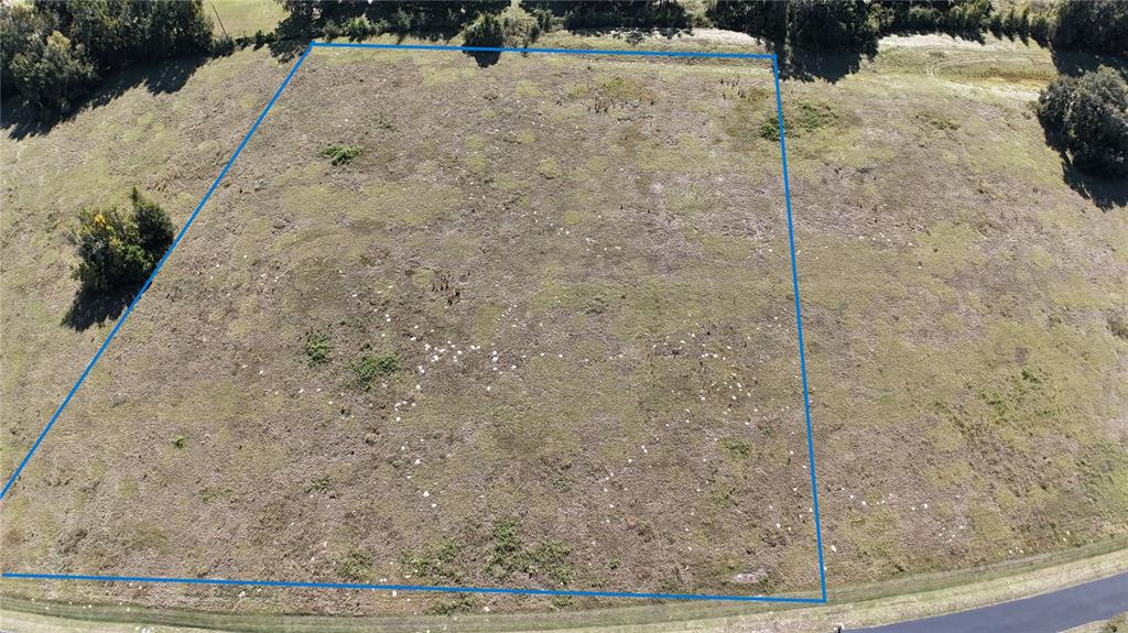 Northwest 54th Loop Ocala, FL 34482 - Photo 5 of 15 a view of a dry yard