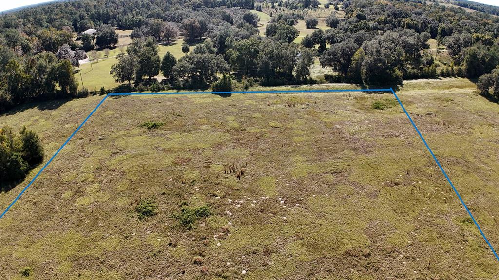 Northwest 54th Loop Ocala, FL 34482 - Photo 6 of 15 a view of yard