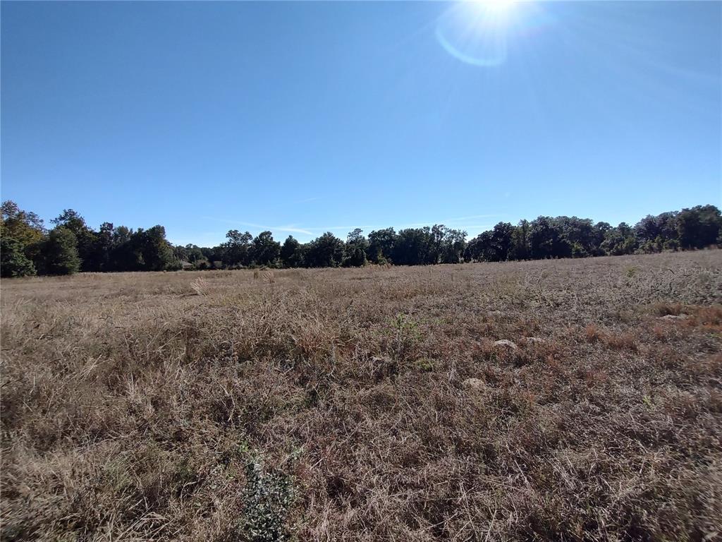 Northwest 54th Loop Ocala, FL 34482 - Photo 10 of 15 a view of a field with trees in background