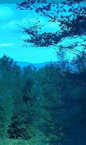 D8 -2 Lyle Hall Road Wilton, ME 04294 - Photo 7 of 11 20200826201423804813000000-o