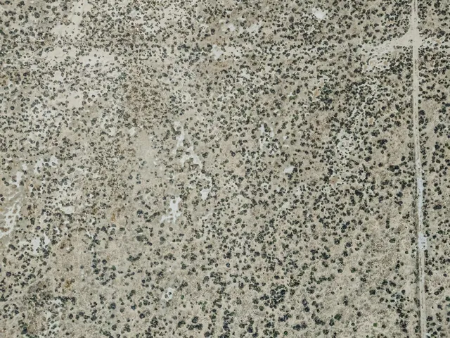 a bathroom with a shower curtain