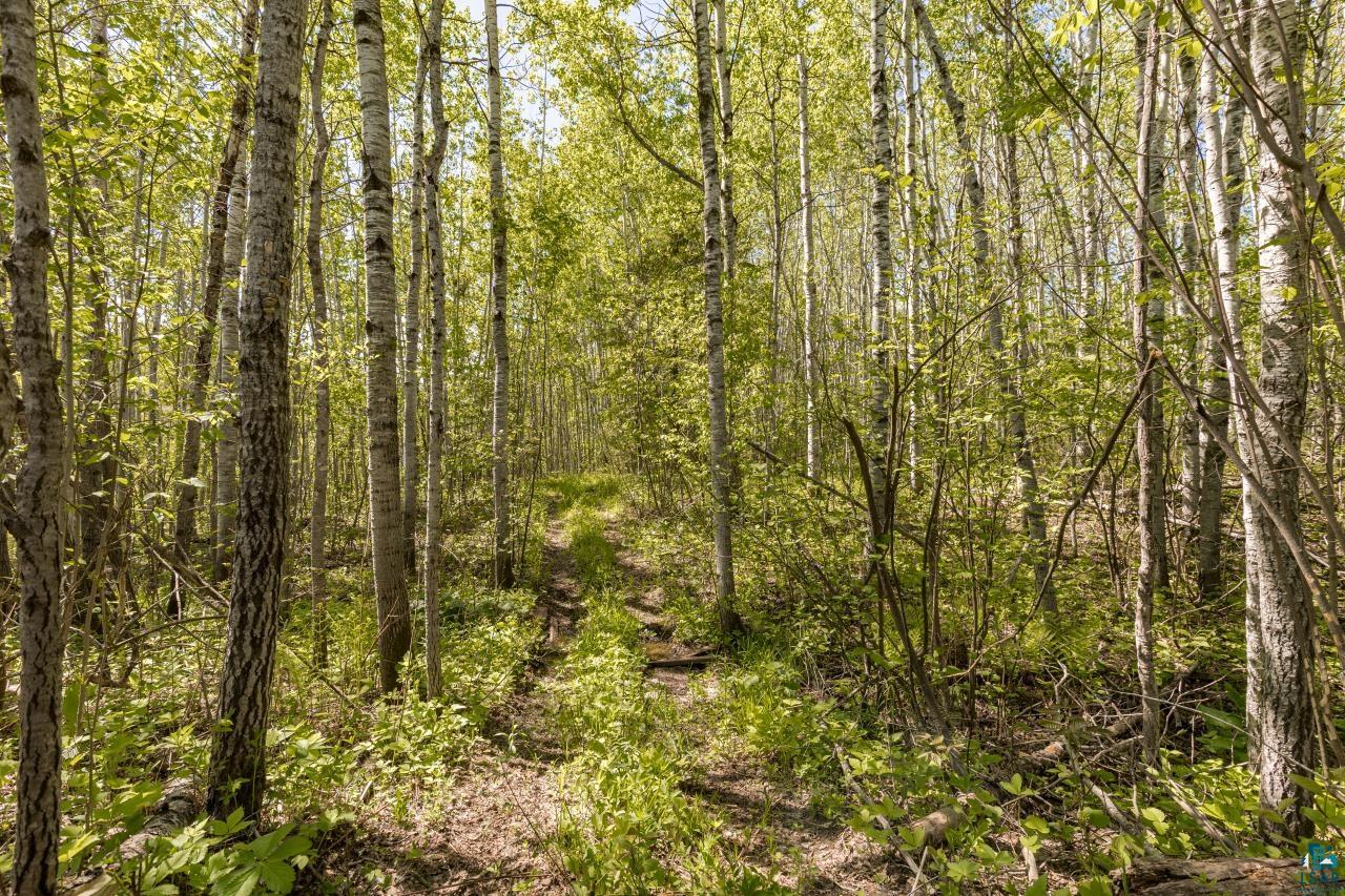 4239 South Lyman Lake Road Superior, WI 54880 - Photo 45 of 45