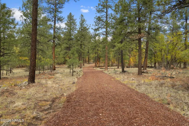 a view of road with trees
