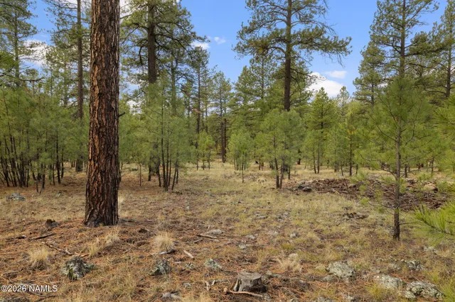 a view of outdoor space with trees